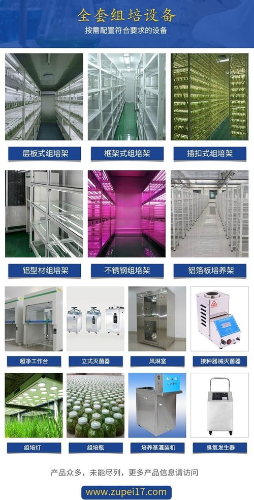 組培實驗室規劃與預算 貴州設計圖與云南設備清單解析